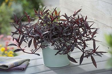 《最终幻想》像素复刻版PS4和NS通过评级 或即将公布