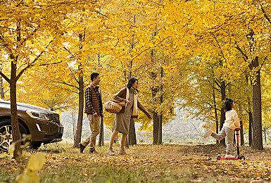 2D手绘格斗游戏《冰火对决》支持一键出招